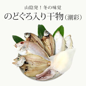 父の日 干物 セットの人気商品 通販 価格比較 価格 Com