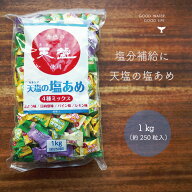 塩あめ 塩飴 天塩の塩あめ 4種類 レモン味 日向夏味 ぶどう味 パイン味 1kg 熱中対策 業務用 塩飴 塩あめ…