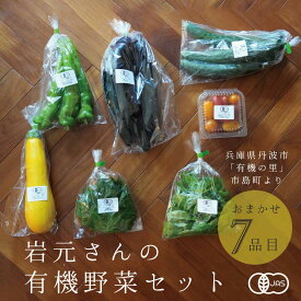 野菜セット 有機野菜セット オーガニック野菜 詰め合わせ 7品目 送料無料 国産 兵庫産 丹波市 新鮮野菜 産地直送 クール便 国産 有機野菜 野菜セット 葉物 根菜 おまかせ 詰め合わせ とれたて野菜 旬の野菜詰め合わせ 野菜BOX