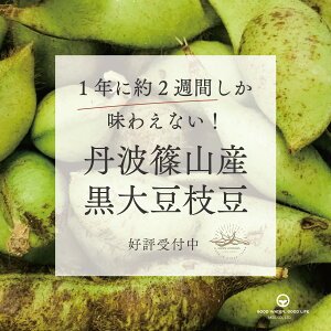  } \Jn T̂ 500O 2pbN 2025NY OgR  Yn 哤} Ԍ H̖o ܂     Mtg J