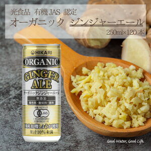 _ |Cg10{ő唼zX[p[SALE ^ WW[G[ I[KjbNWW[G[ Hi 120{ 250ml L@WW[G[ ňl  ܂Ƃߔ Y Ђ y W