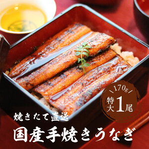 YȂ Ȃ 170g 1  Ȃ Ȃ|̕ i Ă  񂩂ĂĒ ①N[ aj 䒆 Ε N A ̓ ̓ h