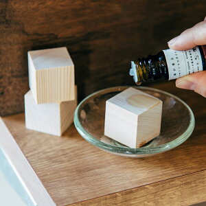 AKOMEYA TOKYO/ XA}ubN