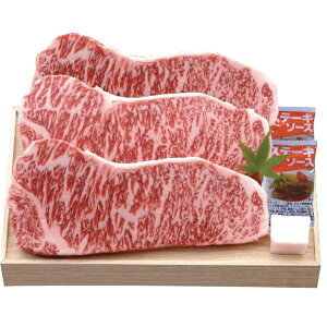 琬 ߍ] T[CXe[L 3 SEN-482 4267-024 ̂ uh Y  a   Mtg j  Ε N v[g oYj j oYj j 