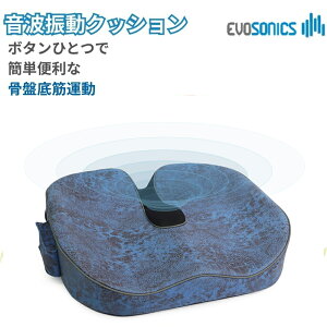 evosonics cushion TEhEF[u SOUND WAVE dr spa hN^[Xpv gU G{\jbNgU}V ؗ _ ؓق AR g[jO  Ւ b ObY NbV