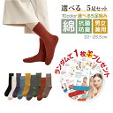 ＼ シートマスク 1枚 付き ／選べる 5足セット 靴下 レディース おしゃれ スニーカー ソックス 靴下 レディース くしゅくしゅ クルー丈 靴下 メンズ クルーソックス スニーカーソックス レディース かわいい 無地 深履き 蒸れない 綿 通気性