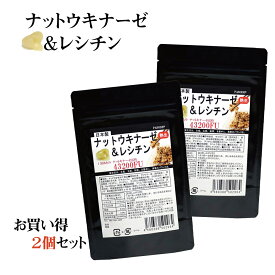 納豆キナーゼ ナットウキナーゼ サプリ 180粒 大容量6カ月分 2個 セット ナットウキナーゼ サプリメント レシチン配合 ナットーキナーゼ 納豆サプリ