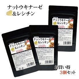 ナットウキナーゼ サプリ 180粒 大容量6カ月分 納豆キナーゼ 3個 セット ナットウキナーゼ サプリメント レシチン配合 ナットーキナーゼ 納豆サプリ