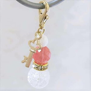 L[ NbN `F[NI[c p[r[Y VR p[Xg[ Xgbv obO`[ L[z_[ X}zANZT[ }XNsAX }XN`[ `[