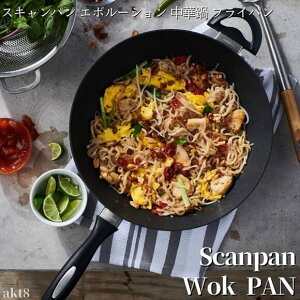 �X�L�����p���G�{���[�V���� ���ؓ� �t���C�p�� Scanpan Evolution Wok ES5 �u�߂��� �t���C���� �Ў�� ������� �\�e�[�p��