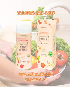 特許取得!オーガニック野菜果物洗浄剤 1本【安全野菜のもと(50g)1本 |Dr.Body お米洗剤 野菜洗浄剤 ホタテ貝でなくホッキ貝洗剤 無添加洗剤 農薬除去 野菜 果物 お米 肉 魚までこれ1本!