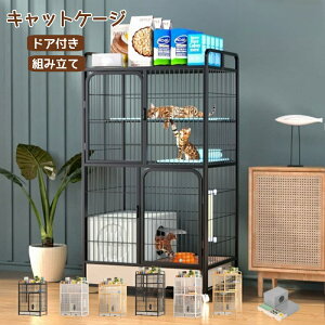 yzLbgP[W gCt LP[W P[W Q[W L LbgQ[W [ LX^[t Eh~  B ˂ RpNgi T[N