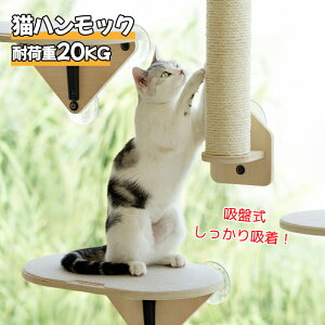 yzL  nbN xbh  Lxbh z t ˂ Lpi ybgxbh ybgpi EBhxbh ڂ 􂦂 }bgt t  ͋z ω׏d