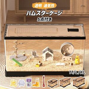 nX^[P[W p  AN ʋC DIY\ Eh~ ϊݐ ȒP P[W nlY~ 39.5cmP[W Zbg2 5_t