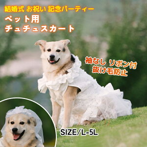 yz EGfBOhX ybg̃hX ̂PlXJ[g    ؂₩ Pl vZX  j LOp[eB[ ^ v[g x[ 
