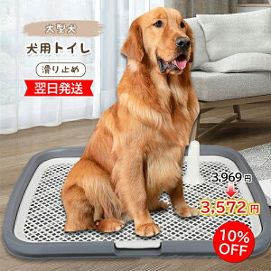 yzpgC ybggC ^ ybg bV gC pgCg[ ~ ybgpi gC 65cm×50cm ̃gC g[jO ȒP R pgC