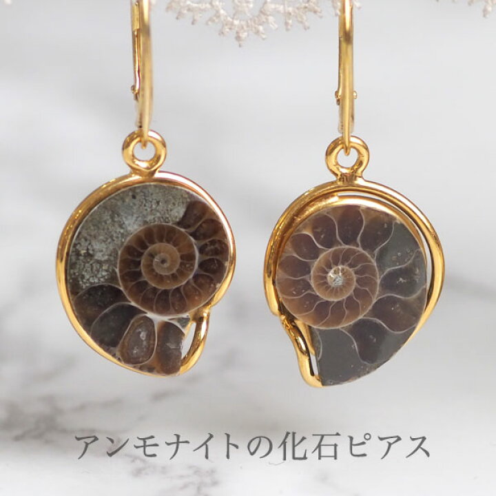 楽天市場】1点ものハンドメイド 遥かミャンマーからアンモナイトの化石 