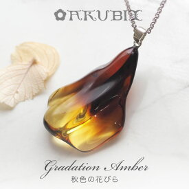 【バルト海の琥珀】グラデーションアンバー　チェーンネックレス【送料無料】【ケース付き】【ak2350】【5ツ星ランク】シルバー　天然石　パワーストーン　贈り物　こはく　ペンダント　ラッピング　誕生日　amber