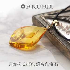 yogC߁zCG[S[hAo[@IjLXy_gyzy`F[E|[`tzy5cNzyak2395zVR΁@p[Xg[@WG[@bsO@lb