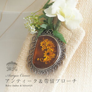 yogC߁z1_̃nhCh@AeB[NfUCJI@ї@Vo[u[`yzyP[Xtzyak0552zyRNVNzVR΁@p[Xg[@ 