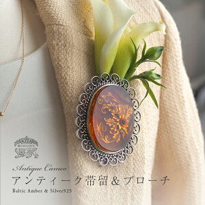 yogC߁z1_̃nhCh@AeB[NfUCJI@ї@Vo[u[`yzyP[Xtzyak0553zyRNVNzVR΁@p[Xg[@ 