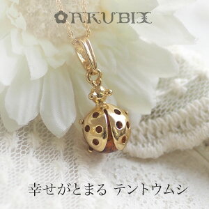 yogC߁zegEV`[yzyak2544zy䂤pPbgiǐՉ\[ցjzVR΁@p[Xg[@Mtg@͂@S[hv[g@a@bsO