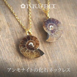 ネックレス アンモナイト 化石 ペンダントの人気商品・通販・価格比較 