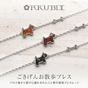 yogC߁zVѐSӂ郏Rƍ̂UuXy3czy䂤pPbgiǐՉ\[ցjzyak2640zVR΁@p[Xg[@WG[@a@͂@bsO