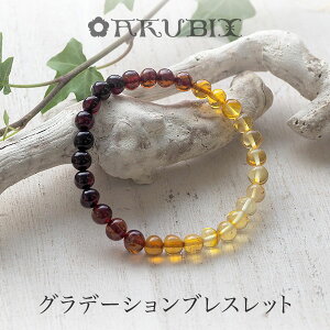 yVR߃uXbgzOf[Vyzy䂤pPbgiǐՉ\[ցjzyj993zy4cz6~ʁ@p[Xg[@VR΁@amber@͂@Mtg@蕨@bs