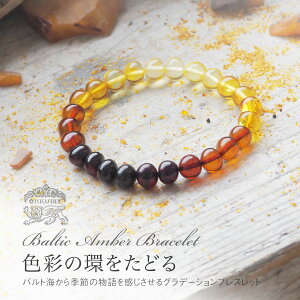 yVR߃uXbgzFʂ̗ւǂOf[VAo[uXyzy䂤pPbgiǐՉ\[ցjzyj994zy4cz11~ʁ@p[Xg[@VR΁@amber@