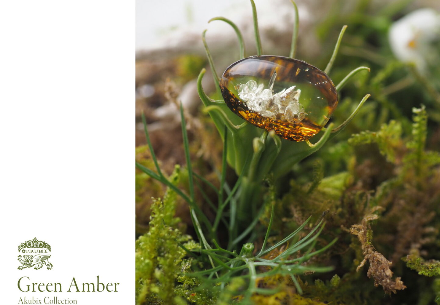 楽天市場 | 琥珀専門店アクビックス - Green Amber -グリーンアンバー特集-