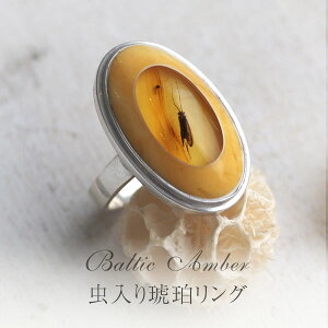 yogC߁z1_̒߃Vo[Oyzymusi091zVR΁@p[Xg[@@͂@@Mtg@蕨@@悯@Ao[@wց@Silver925@amber@16.5@