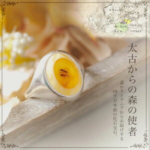 yogC߁z@Mtg@ymusi094z߁@͂@OyRNVNzyC^[iViAo[F萳Kizyp[Xg[z@yz@bs