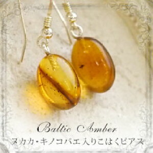 yogC߁z1_̒肱͂Vo[sAXECOyzyP[Xtzymusi283zyRNVNzykJJELmRoGzVR΁@p[Xg[@@@