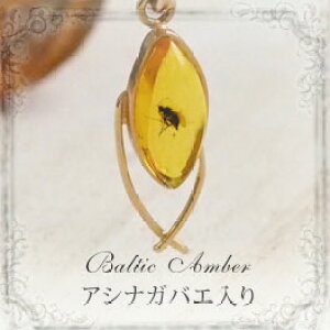 yogC߁z 肱͂sNS[hy_gyzy`F[EP[Xtzymusi305zS[hv[g@VR΁@p[Xg[@@bsO@@Mtg@@a