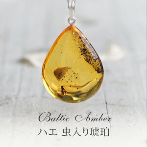 yogC߁z@Mtg@ymusi332z߁@͂@lbNXyRNVNzy`F[tzyC^[iViAo[F萳Kizyp[Xg[z@y