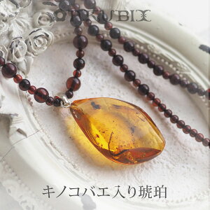 yogC߁z1_̃nG肱͂ lbNXyzyP[Xtzymusi388zyRNVNz@VR΁@p[Xg[@@bsO@@WG[