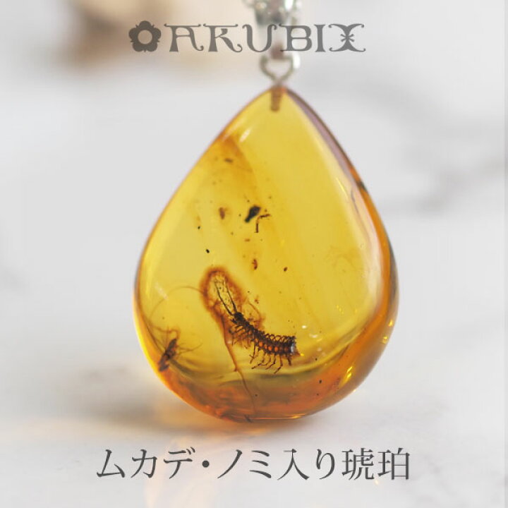 楽天市場】【バルト海の琥珀】1点もの ムカデ入りこはくシルバー 