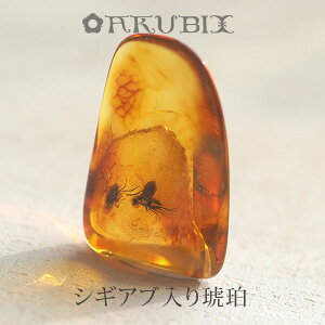 yogC߁z߁@[X@͂@Mtg@_́ymusi400zyP[XE|[`tzyC^[iViAo[F萳KizyVR΁Ep[Xg[zy