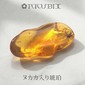 yogC߁z߁@[X@͂@Mtg@_́ymusi402zyP[XE|[`tzyC^[iViAo[F萳KizyVR΁Ep[Xg[zy