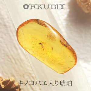 yogC߁z߁@[X@͂@Mtg@_́ymusi404zyP[XE|[`tzyC^[iViAo[F萳KizyVR΁Ep[Xg[zy