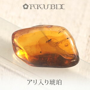 yogC߁z߁@[X@͂@Mtg@_́ymusi405zyP[XE|[`tzyC^[iViAo[F萳KizyVR΁Ep[Xg[zy