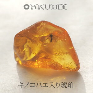 【バルト海の琥珀】虫入り琥珀 ルース こはく ギフト 一点もの【musi406】【ケース・ポーチ付き】【インターナショナルアンバー協会認定正規品】【天然石・パワーストーン】【送料無