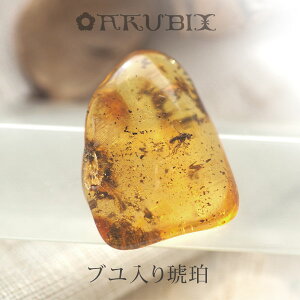 yogC߁z߁@[X@͂@Mtg@_́ymusi407zyP[XE|[`tzyC^[iViAo[F萳KizyVR΁Ep[Xg[zy