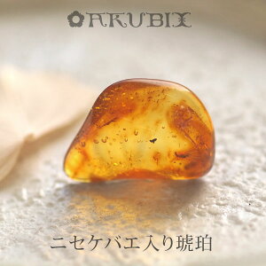 yogC߁z߁@[X@͂@Mtg@_́ymusi408zyP[XE|[`tzyC^[iViAo[F萳KizyVR΁Ep[Xg[zy