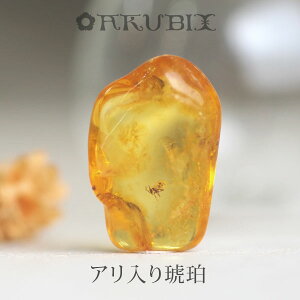 yogC߁z߁@[X@͂@Mtg@_́ymusi409zyP[XE|[`tzyC^[iViAo[F萳KizyVR΁Ep[Xg[zy