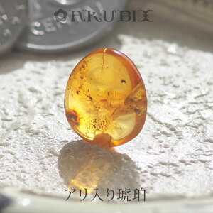 yogC߁z߁@[X@͂@Mtg@_́ymusi410zyP[XE|[`tzyC^[iViAo[F萳KizyVR΁Ep[Xg[zy