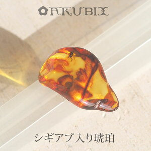 yogC߁z߁@[X@͂@Mtg@_́ymusi411zyP[XE|[`tzyC^[iViAo[F萳KizyVR΁Ep[Xg[zy