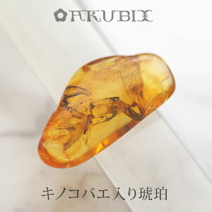 yogC߁z߁@[X@͂@Mtg@_́ymusi413zyP[XE|[`tzyC^[iViAo[F萳KizyVR΁Ep[Xg[zy