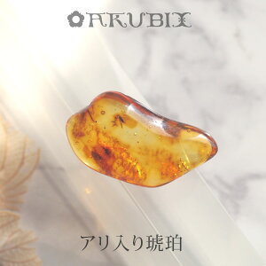 yogC߁z߁@[X@͂@Mtg@_́ymusi414zyP[XE|[`tzyC^[iViAo[F萳KizyVR΁Ep[Xg[zy